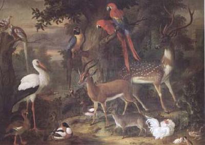 Jakob Bogdani Birds and deer in a Garden (mk25) Spain oil painting art